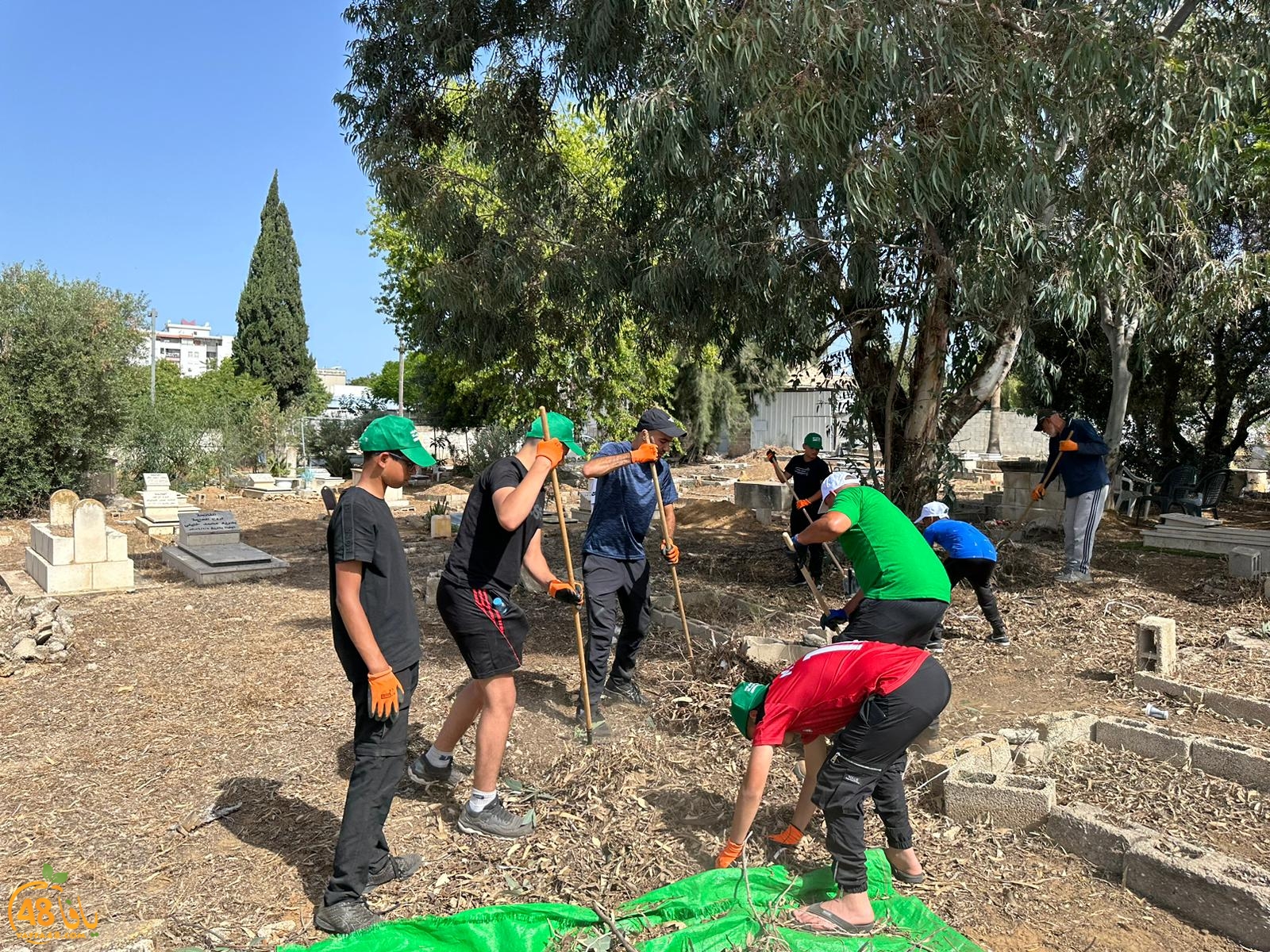 WhatsApp Image 2023-06-17 at 3.39.01 PM (4).jpeg